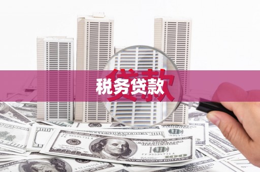 辰溪税务贷款