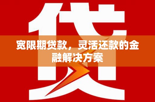 辰溪宽限期贷款，灵活还款的金融解决方案