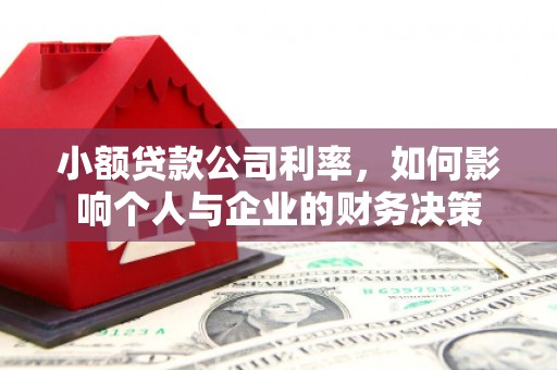 辰溪小额贷款公司利率，如何影响个人与企业的财务决策