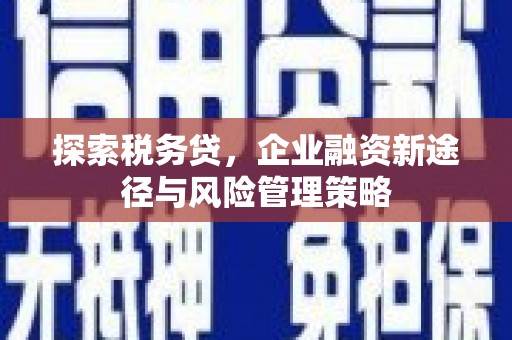 辰溪探索税务贷，企业融资新途径与风险管理策略