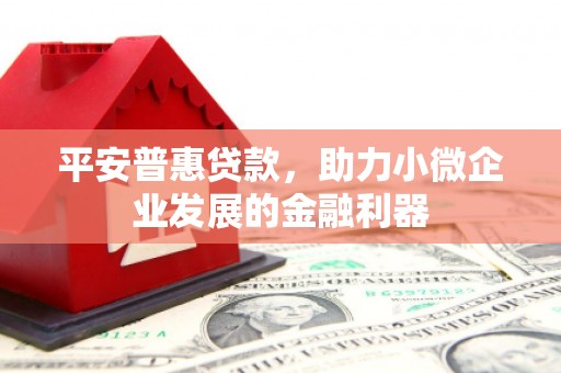 辰溪平安普惠贷款，助力小微企业发展的金融利器