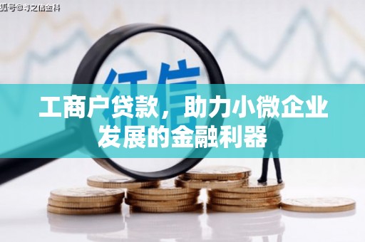 辰溪工商户贷款，助力小微企业发展的金融利器