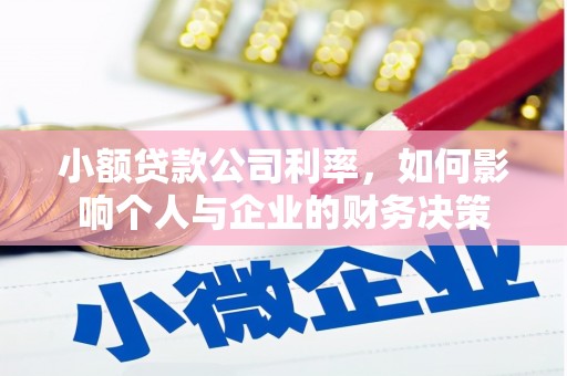 辰溪小额贷款公司利率，如何影响个人与企业的财务决策