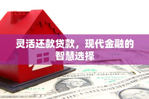 辰溪灵活还款贷款，现代金融的智慧选择