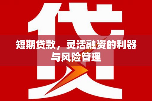 辰溪短期贷款，灵活融资的利器与风险管理