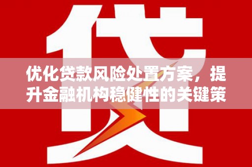 辰溪优化贷款风险处置方案，提升金融机构稳健性的关键策略