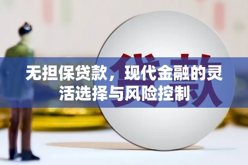 辰溪无担保贷款，现代金融的灵活选择与风险控制