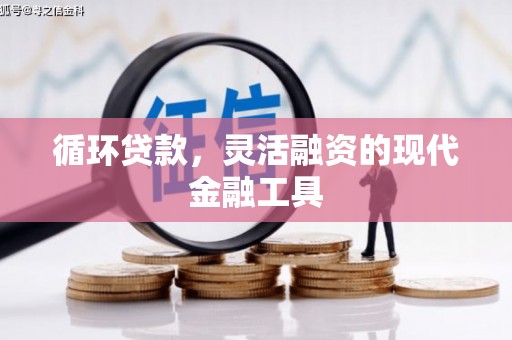辰溪循环贷款，灵活融资的现代金融工具