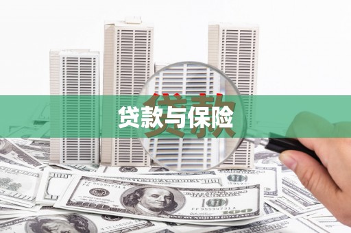 辰溪贷款与保险