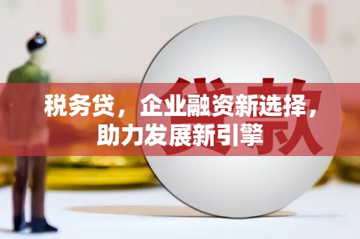 辰溪税务贷，企业融资新选择，助力发展新引擎