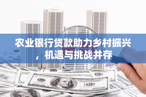 辰溪农业银行贷款助力乡村振兴，机遇与挑战并存