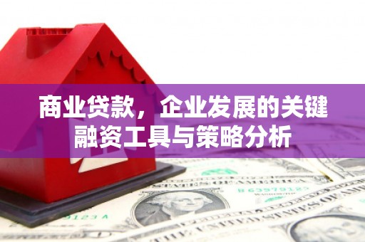 辰溪商业贷款，企业发展的关键融资工具与策略分析