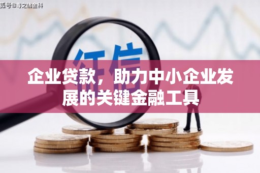 辰溪企业贷款，助力中小企业发展的关键金融工具