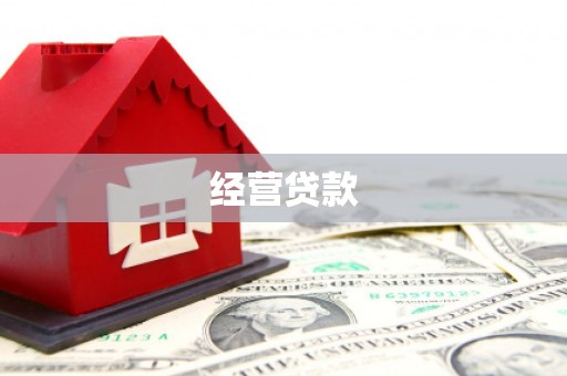 辰溪经营贷款