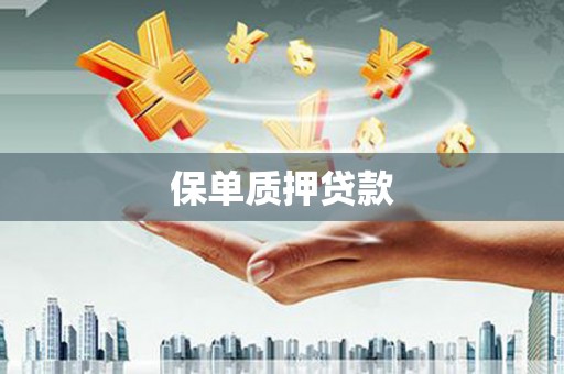 辰溪保单质押贷款