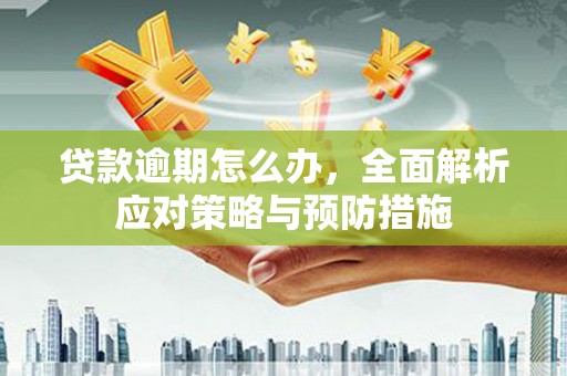 辰溪贷款逾期怎么办，全面解析应对策略与预防措施