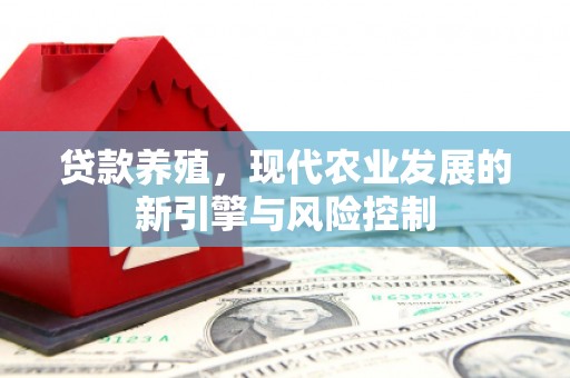 辰溪贷款养殖，现代农业发展的新引擎与风险控制