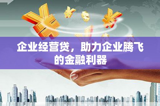 辰溪企业经营贷，助力企业腾飞的金融利器