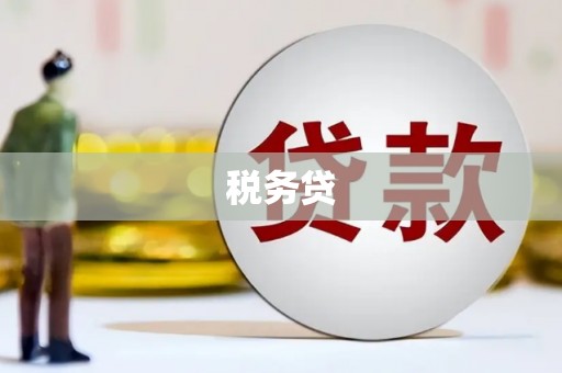 辰溪税务贷
