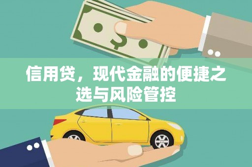 辰溪信用贷，现代金融的便捷之选与风险管控