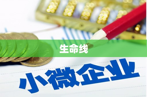 辰溪生命线