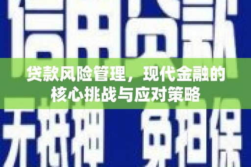 辰溪贷款风险管理，现代金融的核心挑战与应对策略