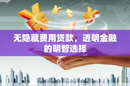 辰溪无隐藏费用贷款，透明金融的明智选择