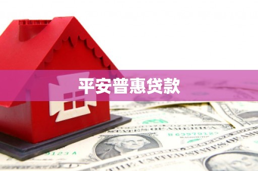 辰溪平安普惠贷款