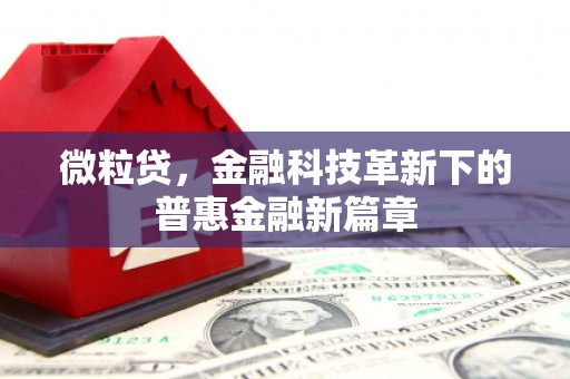 辰溪微粒贷，金融科技革新下的普惠金融新篇章