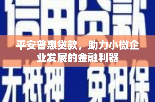 辰溪平安普惠贷款，助力小微企业发展的金融利器