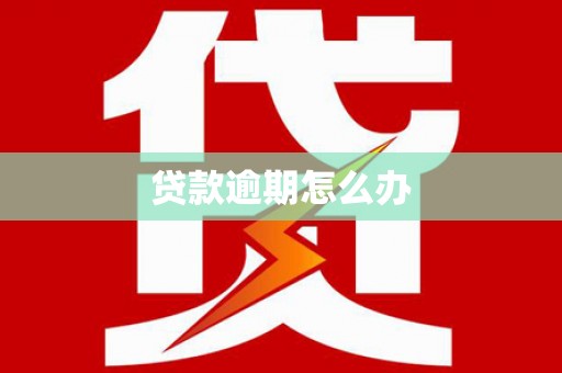 辰溪贷款逾期怎么办
