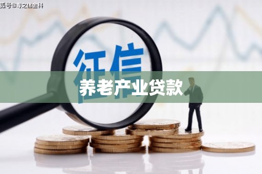 辰溪养老产业贷款