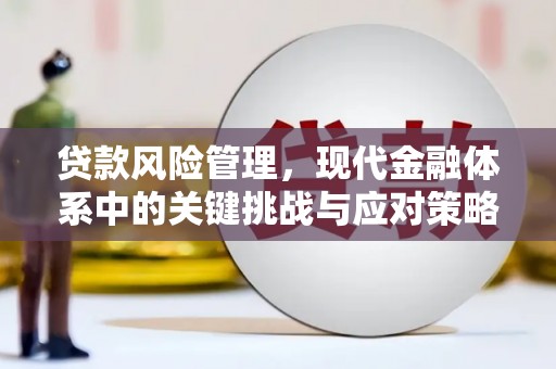 辰溪贷款风险管理，现代金融体系中的关键挑战与应对策略