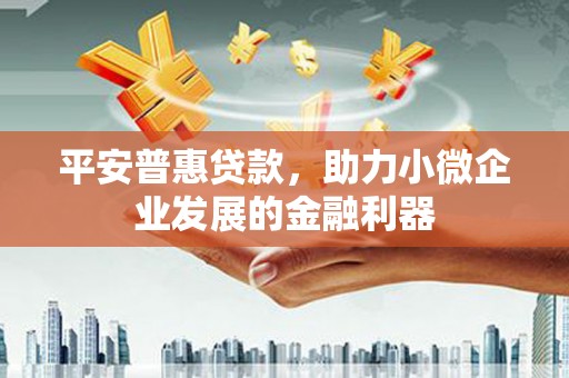 辰溪平安普惠贷款，助力小微企业发展的金融利器