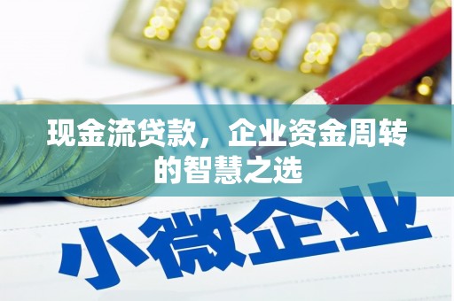 辰溪现金流贷款，企业资金周转的智慧之选