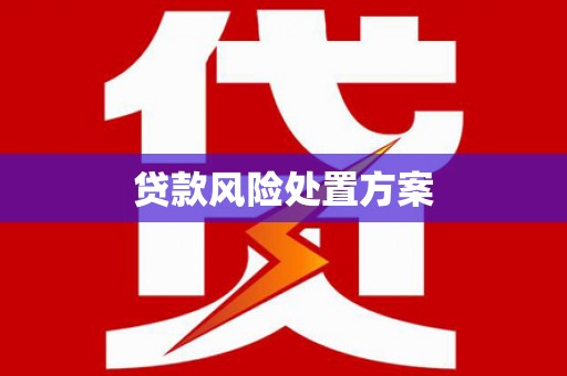 辰溪贷款风险处置方案